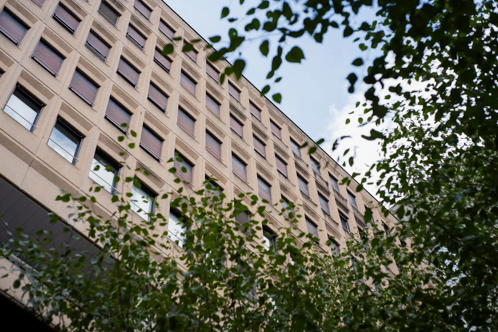 Spitalfassade hinter Laub, von unten gesehen